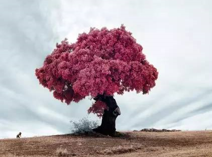 成功经理人订阅_成功经理人半月刊订阅